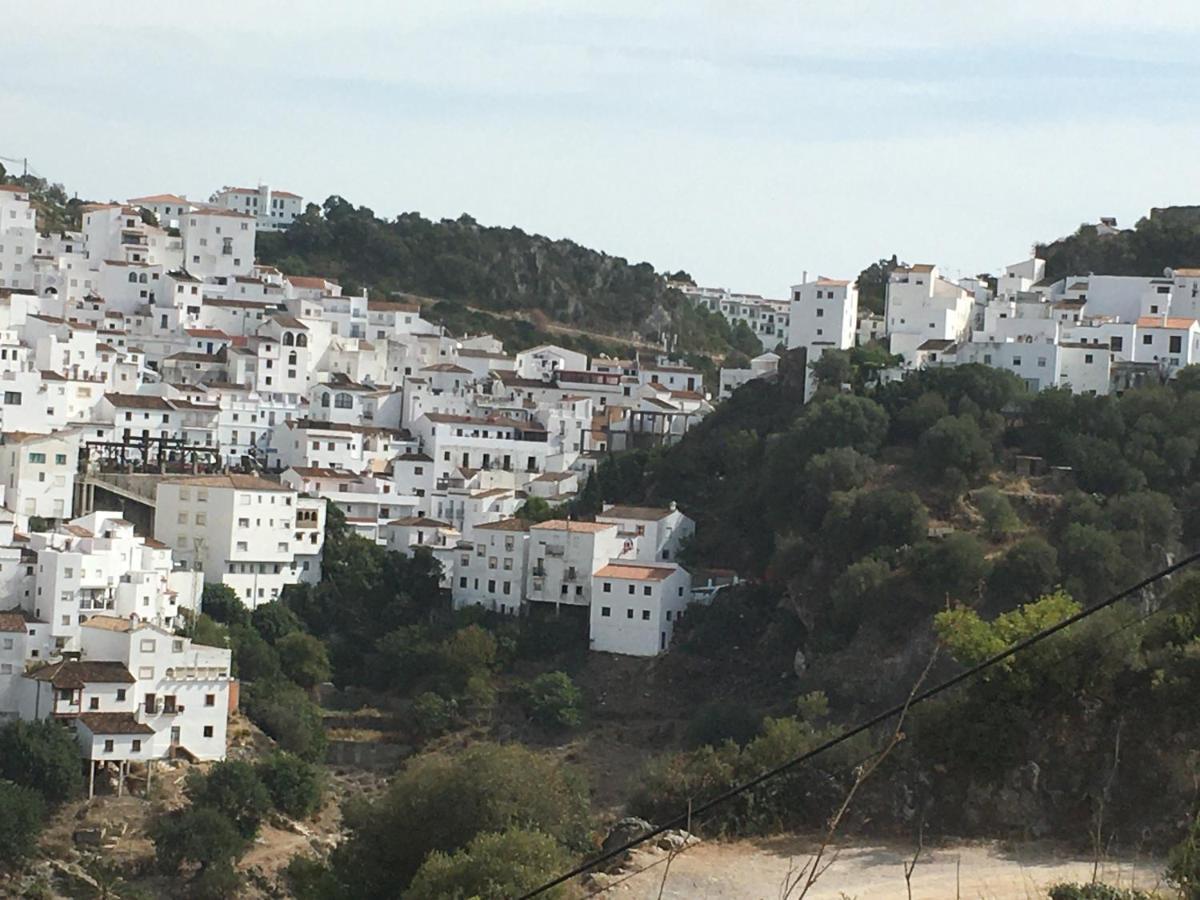 Casares Vacations Daire Dış mekan fotoğraf