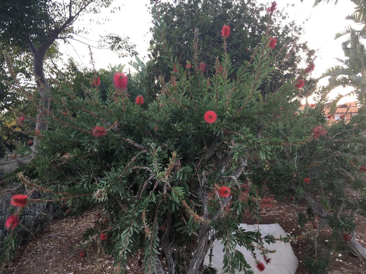 Casares Vacations Daire Dış mekan fotoğraf