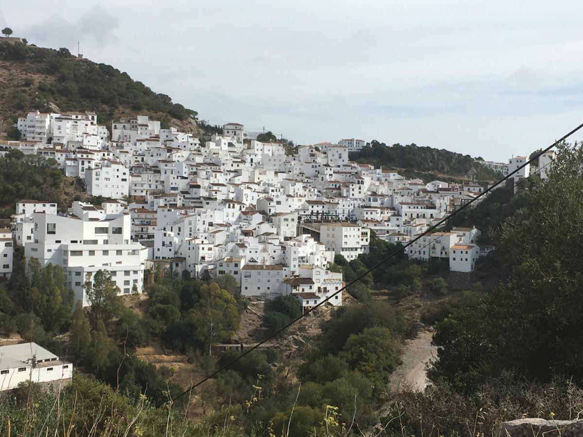 Casares Vacations Daire Dış mekan fotoğraf